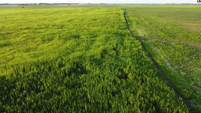 Photo of 0 W Boundary Rd, Pretty Prairie, KS