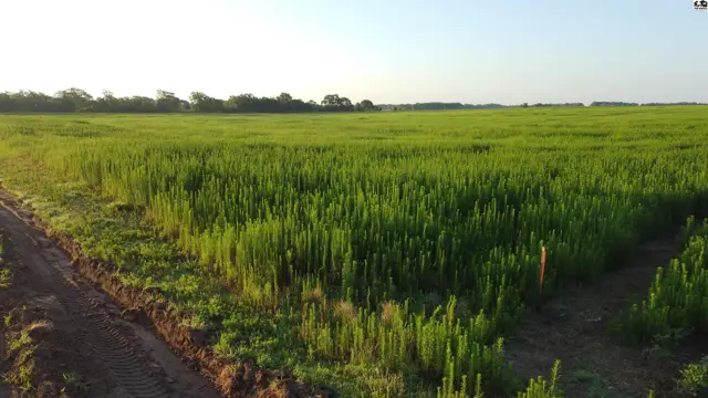 Photo of 0 W Boundary Rd, Pretty Prairie, KS
