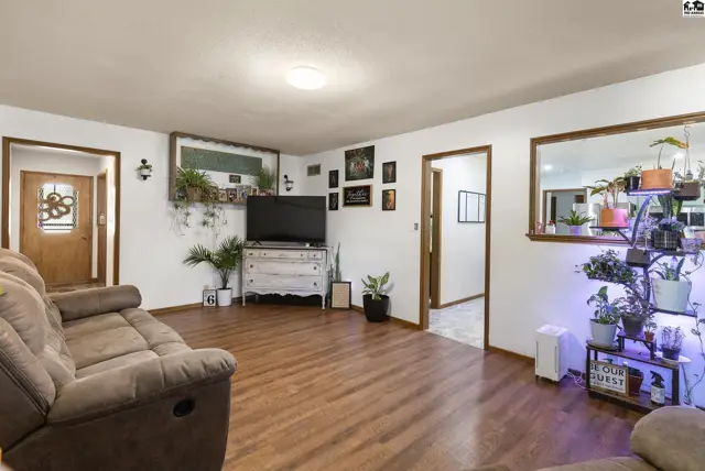 Spacious living room with plush sofa, wood-look flooring, and abundant natural light.
