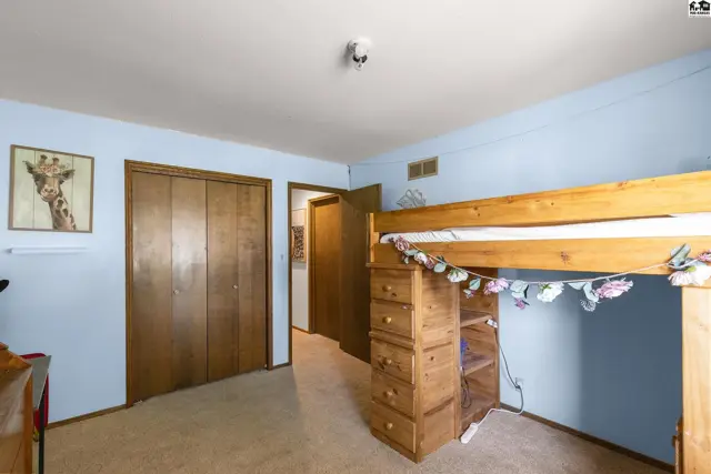 Light blue bedroom with wood-paneled closet doors, a loft bed, and a giraffe print.