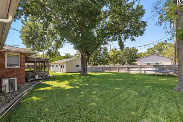 Spacious backyard with a large tree, detached garage, and a trampoline.