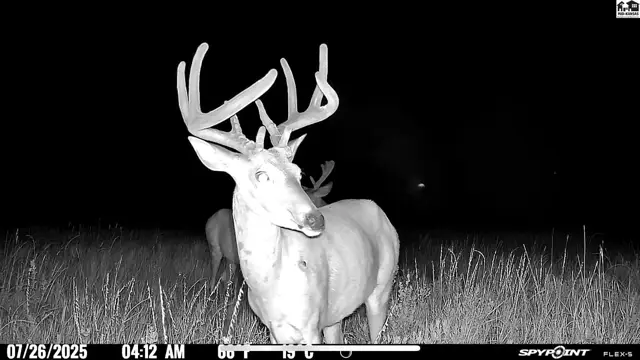 Photo of 00000 M Rd, Hanston, KS