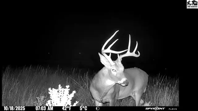 Photo of 100 M Rd, Hanston, KS