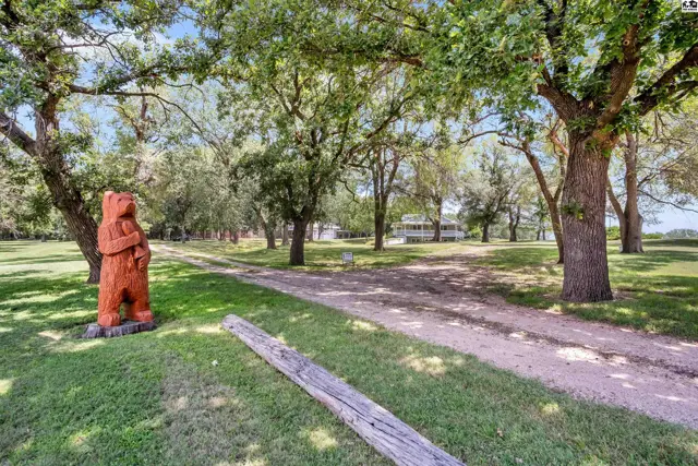 Wooden bear sculpture stands beside a gravel driveway leading to a white house among mature trees.