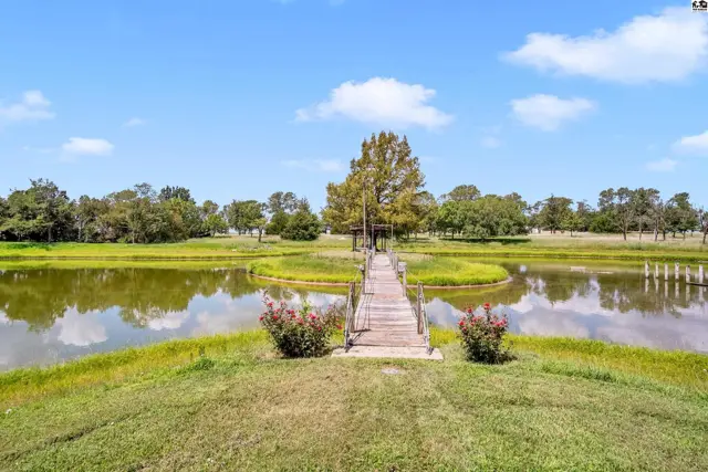 Wooden pier leads to a small island with a tree, surrounded by a tranquil pond and lush green landscape.