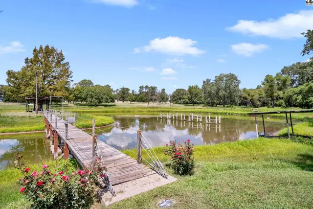 Wooden footbridge leads to a tranquil pond surrounded by lush green grass and mature trees under a blue sky.