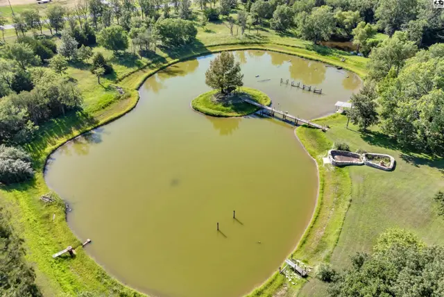 Aerial view of a guitar-shaped pond with a small island, bridge, and surrounding trees.