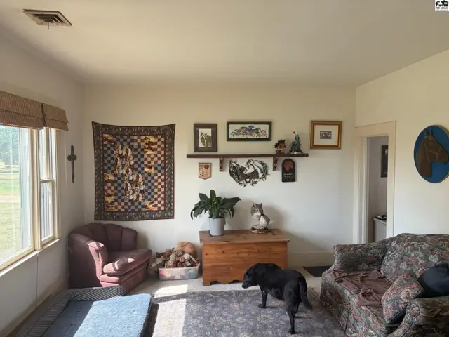 Cozy living room with a quilt, artwork, wooden chest, and pets.