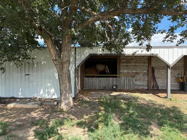 Horse stable with white siding, wood accents, and a horse visible inside a stall.