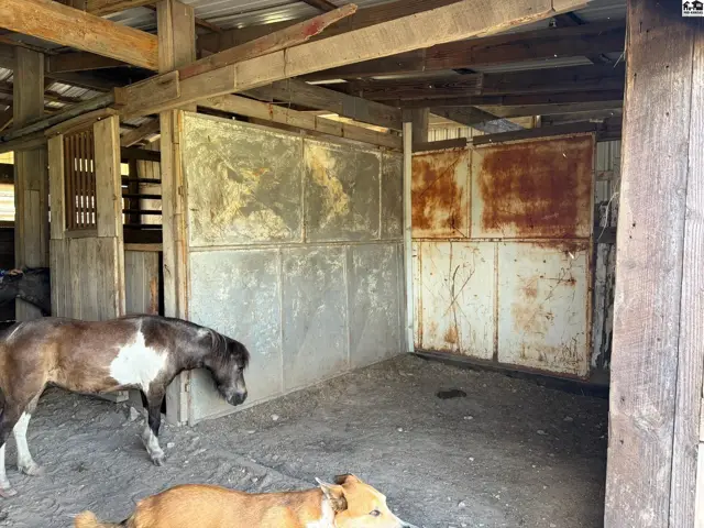 Rustic barn interior with horses, featuring weathered metal stall doors and exposed wooden beams.