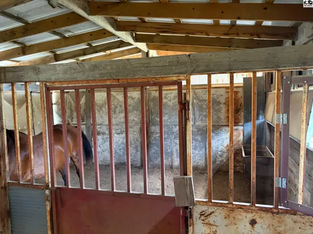 Horse stall with metal bars, rustic wood beams, and concrete walls.