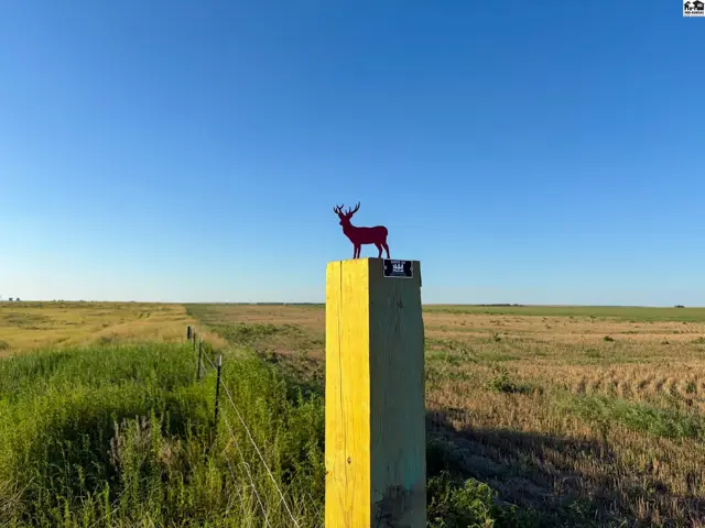 Photo of 00000 E Co Rd, Ness City, KS