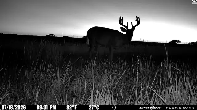 Photo of 00000 E Co Rd, Ness City, KS