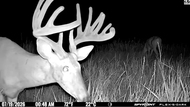 Photo of 00000 E Co Rd, Ness City, KS