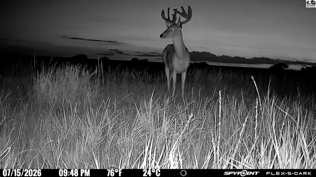 Photo of 00000 E Co Rd, Ness City, KS