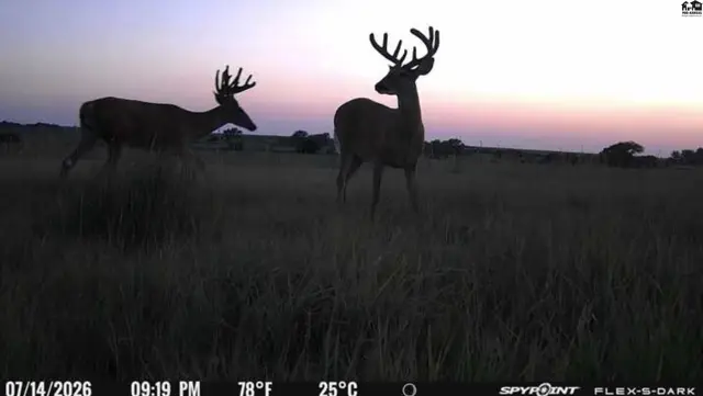 Photo of 00000 E Co Rd, Ness City, KS