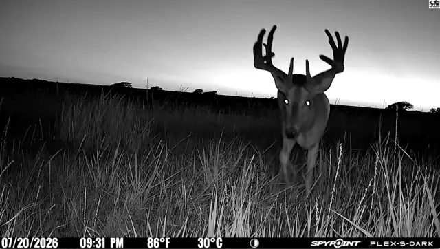 Photo of 00000 E Co Rd, Ness City, KS