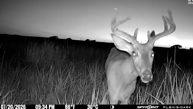 Photo of 00000 E Co Rd, Ness City, KS