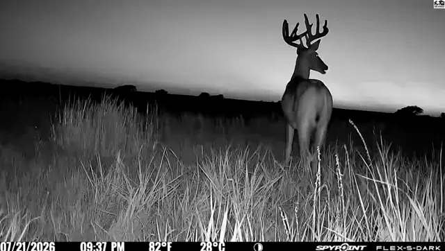 Photo of 00000 E Co Rd, Ness City, KS