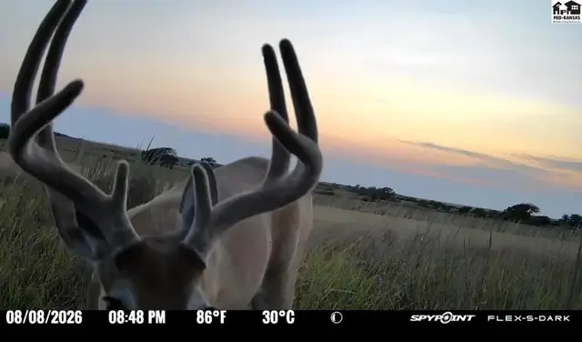 Photo of 00000 E Co Rd, Ness City, KS