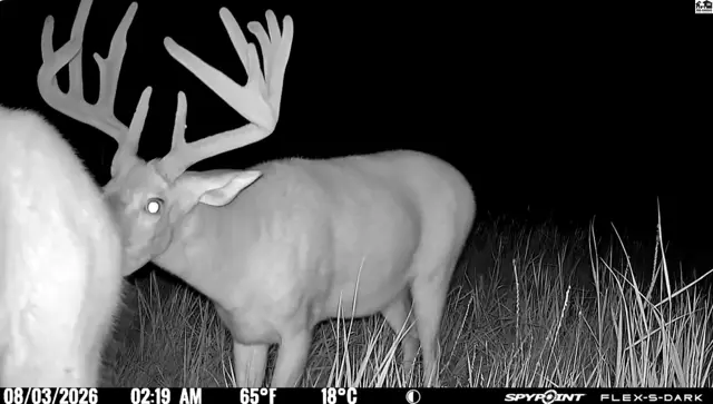 Photo of 00000 E Co Rd, Ness City, KS