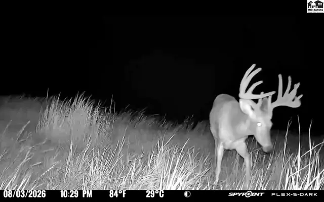 Photo of 00000 E Co Rd, Ness City, KS