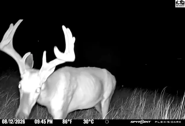 Photo of 00000 E Co Rd, Ness City, KS
