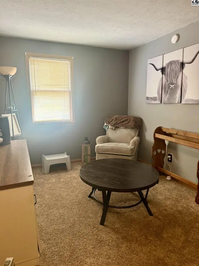 Cozy living room with plush carpet, a round coffee table, and a Highland cow artwork.
