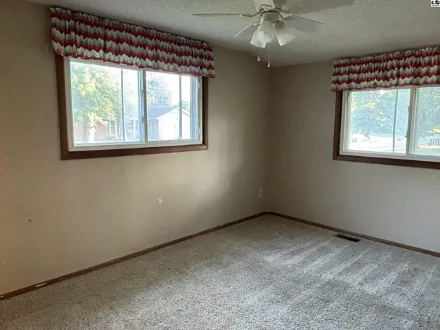 Spacious bedroom with plush carpet, neutral walls, and two windows with patterned valances.