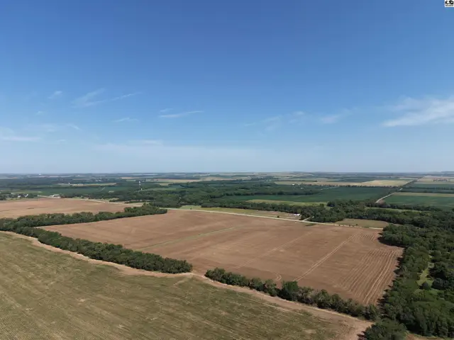 Expansive aerial view of cultivated farmland with trees bordering fields under a clear blue sky.