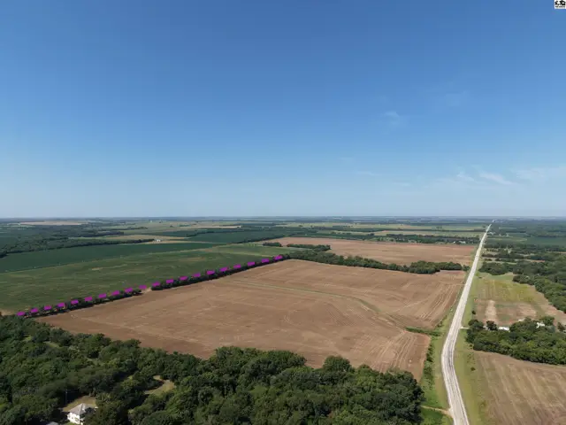 Expansive aerial view of cultivated fields bordered by trees and a paved road under a clear blue sky.