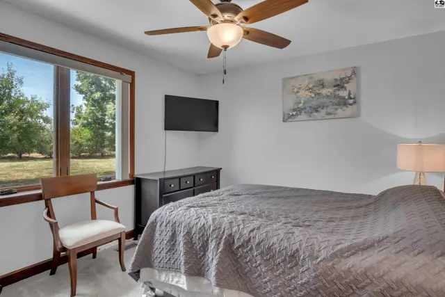 Spacious bedroom with a large window, dark wood dresser, mounted TV, and a ceiling fan.