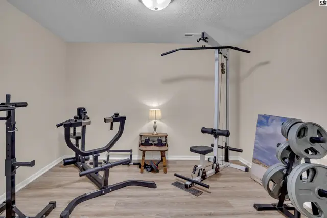 This room features exercise equipment, a lamp, and wood-look flooring.