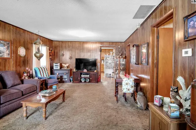 Wood-paneled living room with carpeted floor, a sofa, and a television.