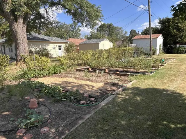 A large backyard features a mature tree, garden beds, and two storage sheds.