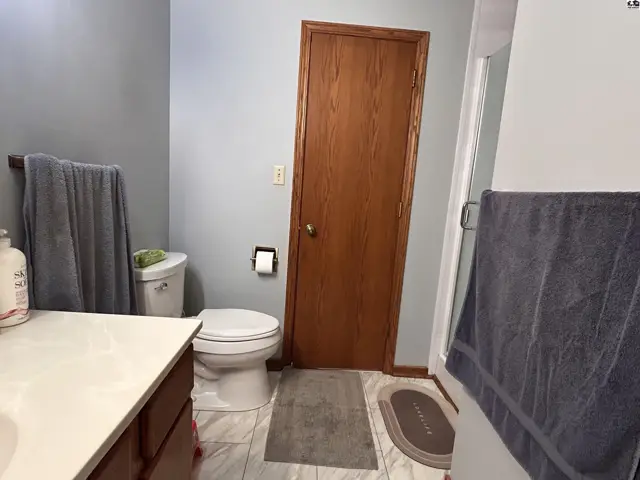 This bathroom features a toilet, vanity with a white countertop, and a wooden door.