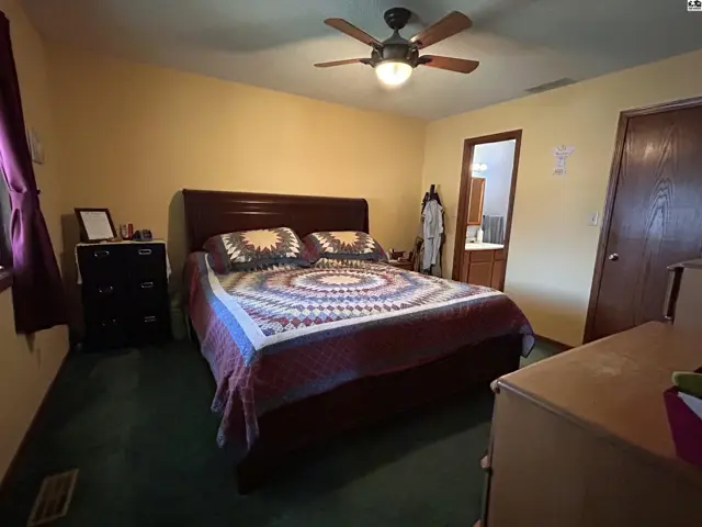 This bedroom features a dark wood bed frame, a ceiling fan, and a doorway to an en-suite bathroom.