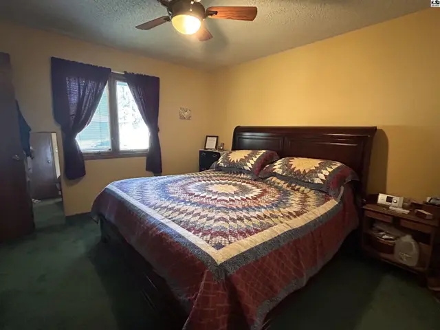Bedroom with a wooden sleigh bed, green carpet, and ceiling fan.