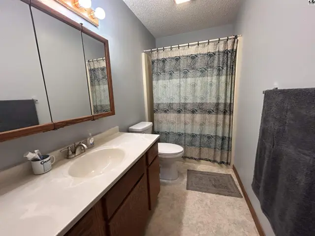 This bathroom features a vanity with a sink, toilet, and a shower with a patterned curtain.