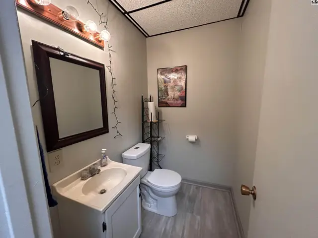 This bathroom features a vanity with a sink, a toilet, and a mirror above the vanity.