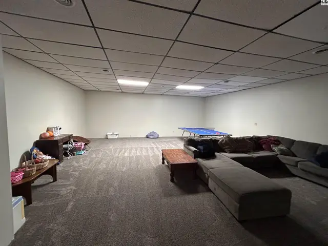 Spacious finished basement with carpeted floors and drop ceiling.