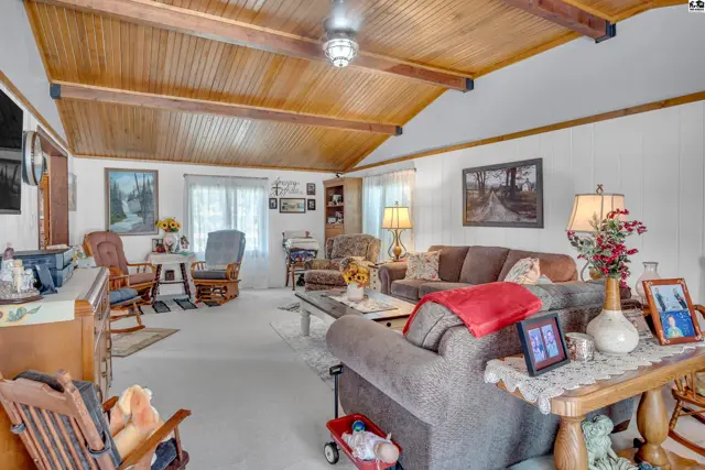 Vaulted wood-paneled ceiling with exposed beams over a spacious living area.
