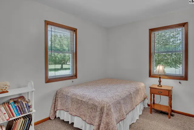 Carpeted bedroom with two windows, a bed, and a nightstand.