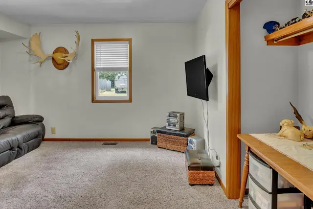 Carpeted living room with a mounted moose head and a television.