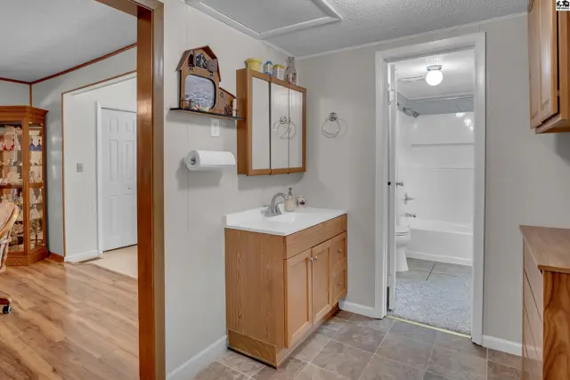 This bathroom features a vanity, sink, medicine cabinet, and a tub with a shower.