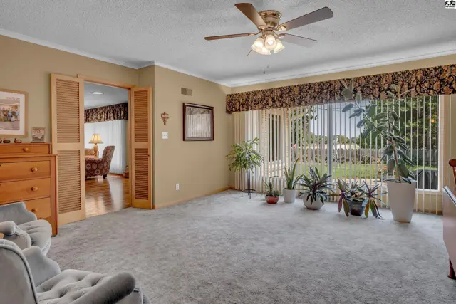 Spacious living room with plush carpet, large window, and ceiling fan.