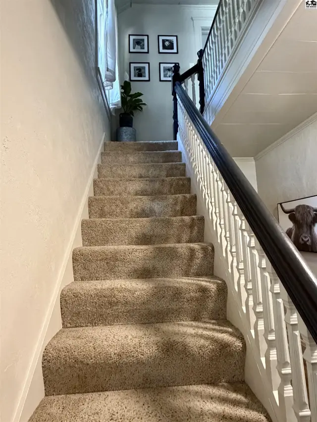 Carpeted stairs ascend past a white balustrade with a dark wood handrail.