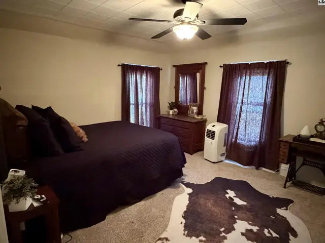 This bedroom features a dark comforter, a dresser with a mirror, and a cowhide rug.
