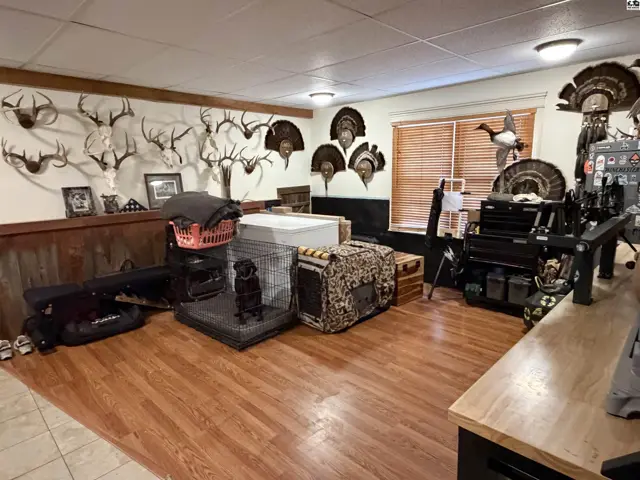 Wood-paneled walls display mounted taxidermy above a hardwood floor and a built-in counter.