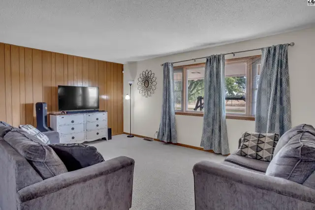 Living room features wood-paneled accent wall, large window with curtains, and plush carpeting.